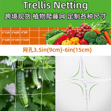 跨境现货trellis netting 白色涤纶9-15cm无结方格子网植物爬藤网