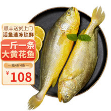 海皇湾 黄花鱼 生鲜 鱼类 大黄鱼海鲜水产海鲜鱼类 黄花鱼500g/条