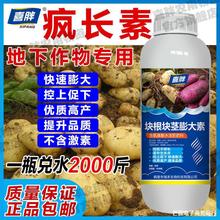 地下根茎膨大素膨大剂红薯土豆莲藕生姜蒜芋头萝卜氮磷钾地下根茎