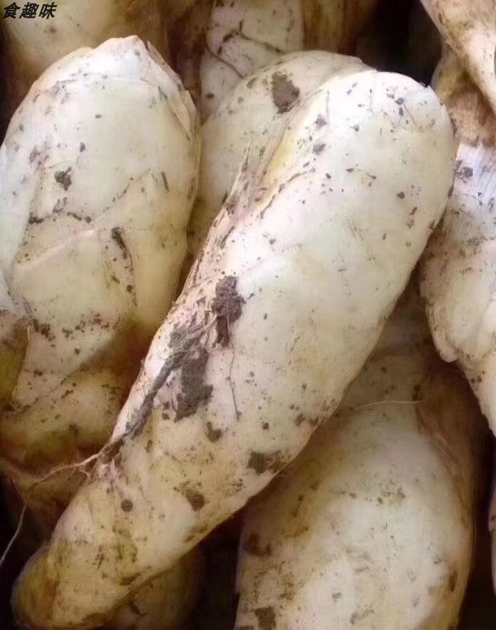 东京丸潮汕特产东京薯丸竹薯圆粉丸冬笋薯粉薯粉丸细米薯菱薯500g