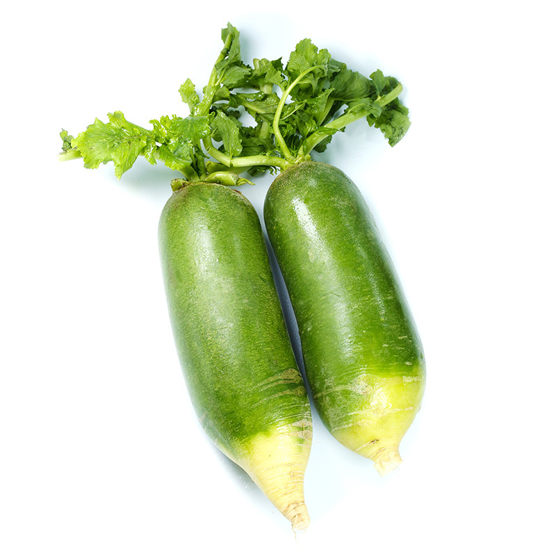 【厂货通】青萝卜 新鲜当季蔬菜应季小萝卜 微甜微辣河南萝卜代发