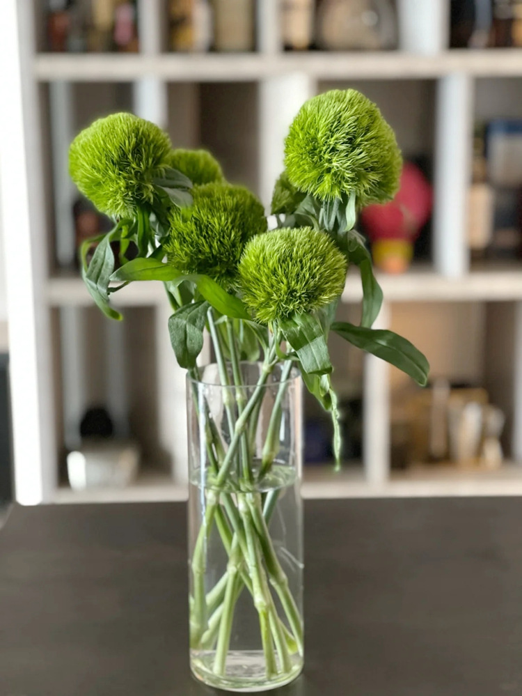 绿毛球鲜花批发云南鲜花直批婚庆布置花店摆摊用花社区团购货源