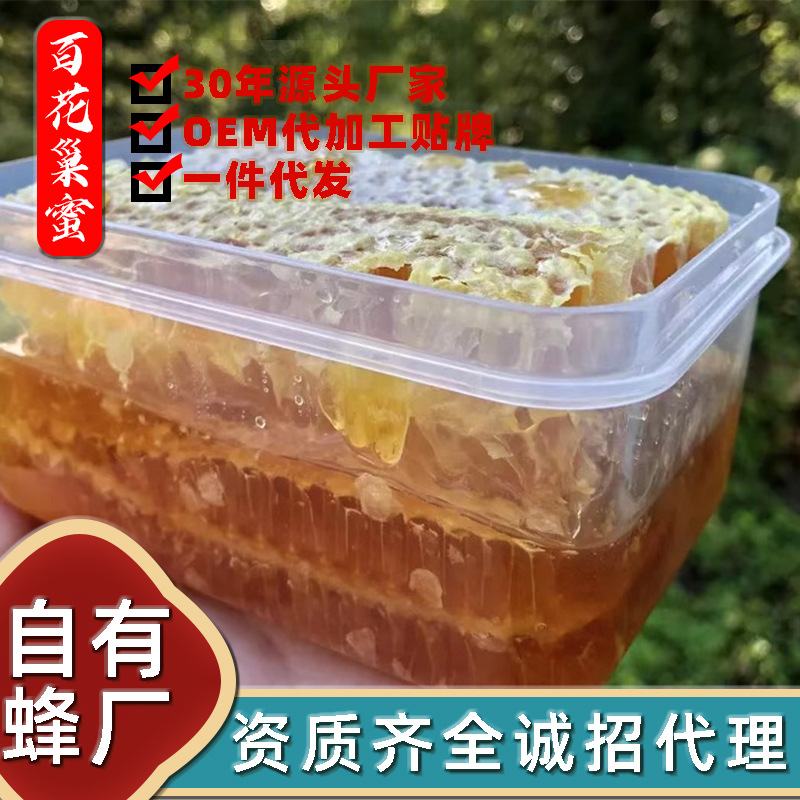 一件代发嚼着吃百花巢蜜盒装 农家自产成熟蜜块百花蜂巢蜜500g