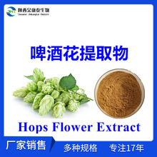 啤酒花提取物10:1水溶性啤酒花粉HopsFlowerExtract酵母花浓缩粉