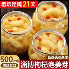 淄博枸杞泡姜芽新鲜嫩姜芽酸甜腌制泡菜下饭菜仔姜糖醋生姜姜片