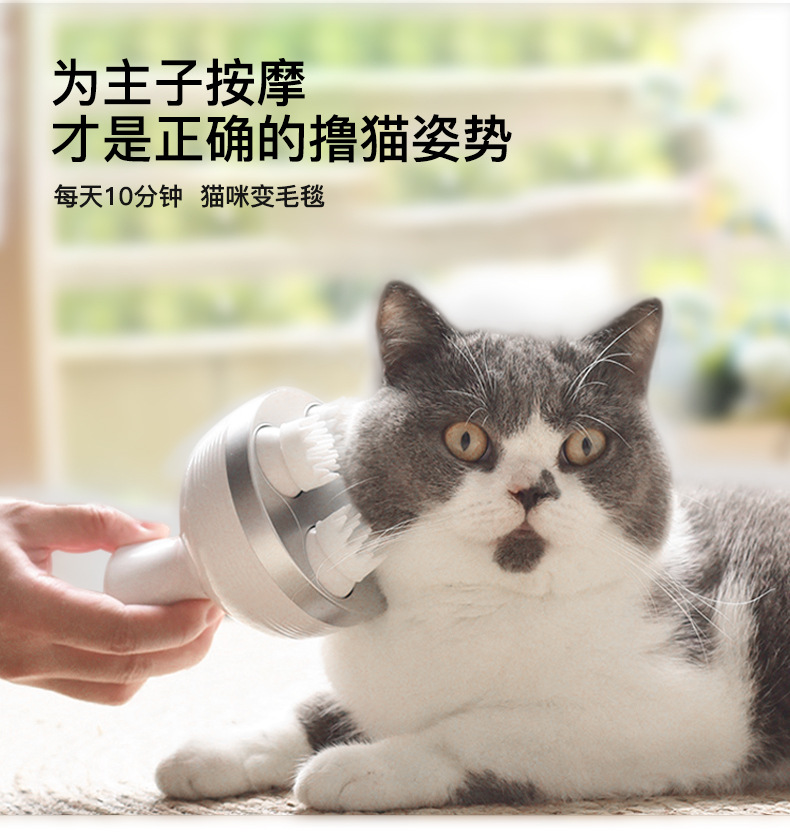 宠物头部按摩器 猫咪头皮多功能揉捏按摩电动八爪鱼头部按摩仪器
