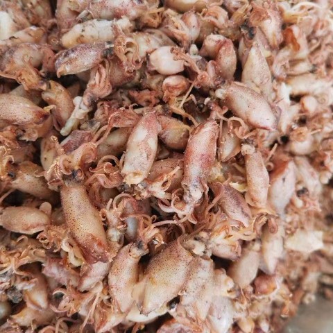 新货小海兔干货500克海兔子小鱿鱼墨鱼仔籽乌乌贼干笔管鱼干-阿里巴巴