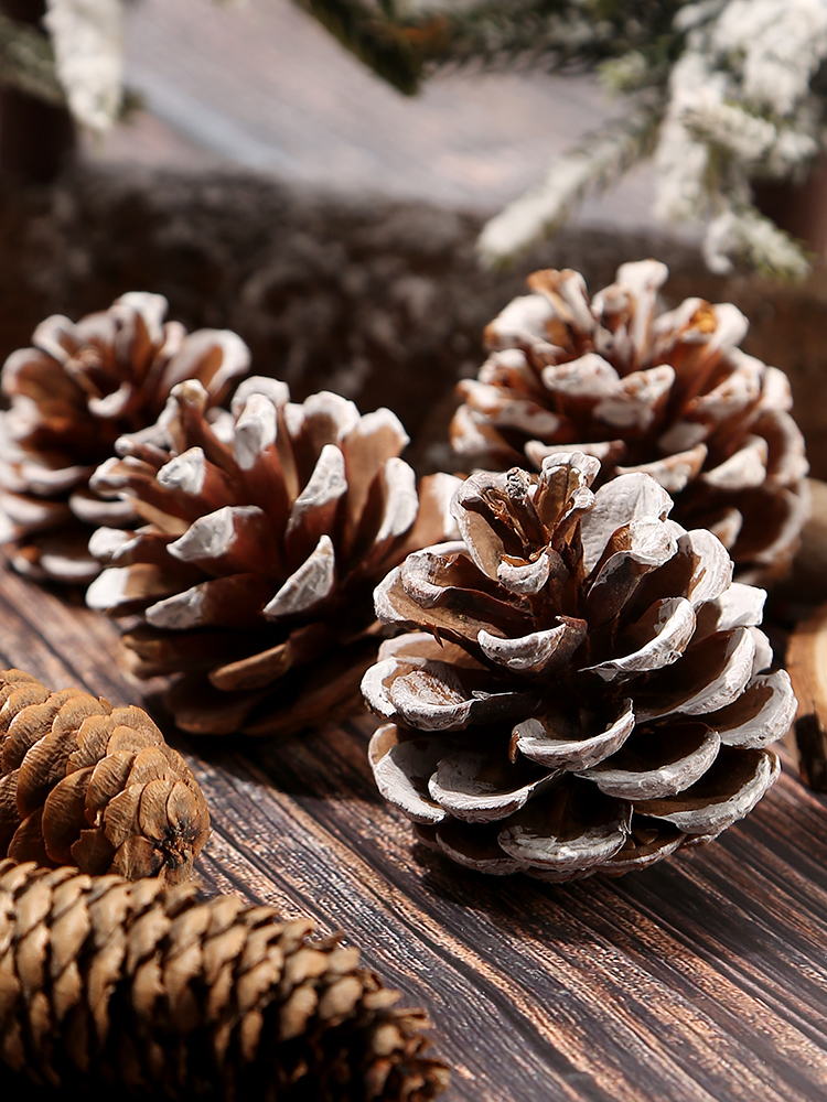 松果装饰松塔幼儿园儿童手工diy材料包环创树枝干花摆件吊饰挂件