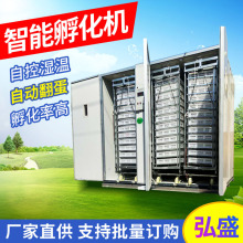 全自动三用孵化机 5280枚鸡鸭鹅孵化设备鸡鸭养殖厂用大型孵化机