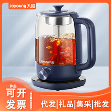 九阳养生壶K10D-WY151煮茶器迷你蒸茶器 1L 喷淋式煮茶壶烧水壶