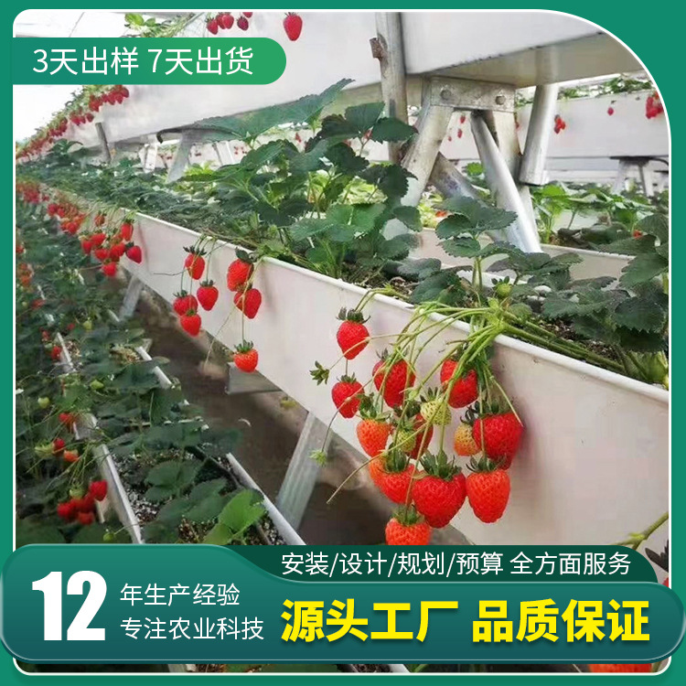 种植箱蔬菜花卉阳台无土栽培立体 壁挂式草莓种植槽pvc基质栽培槽