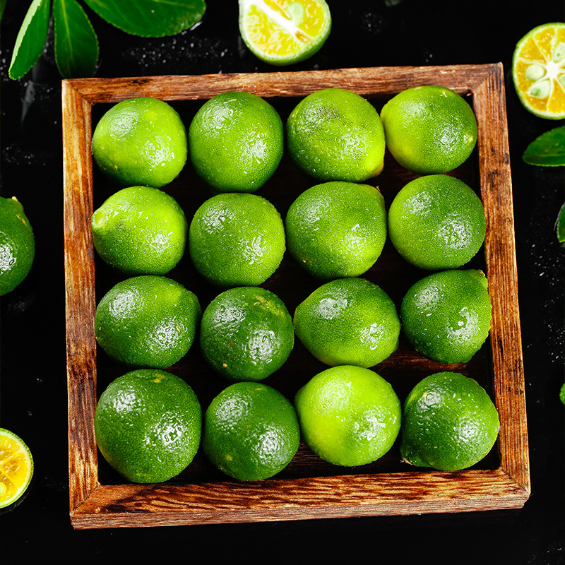 海南小金桔新鲜小青柠檬青金桔柠檬奶茶店皮薄多汁水果批发小橘子
