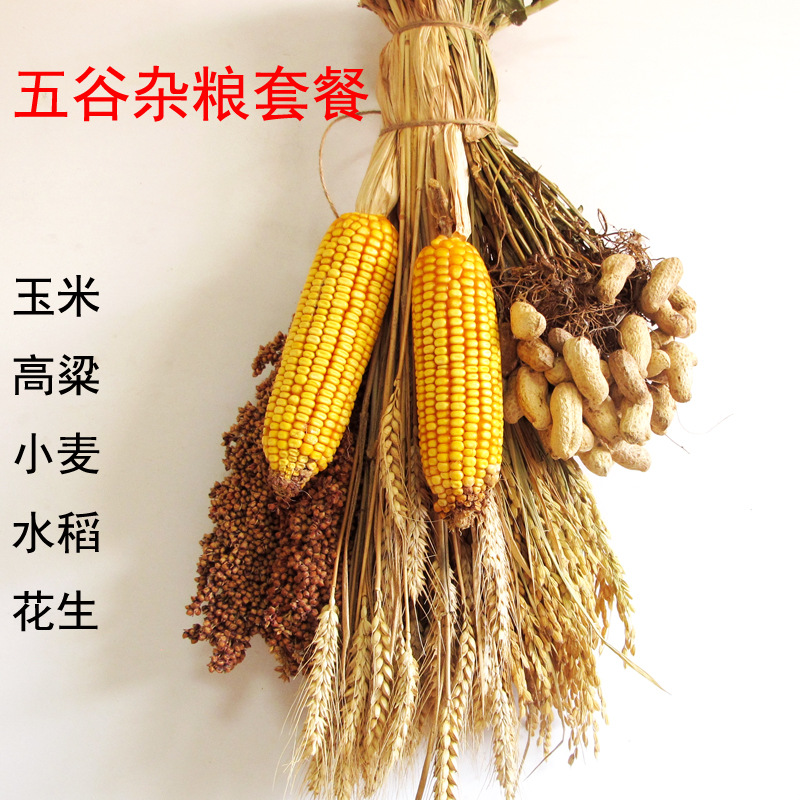 农家乐装饰玉米挂件麦穗水稻穗干花五谷杂粮田园小院农作物丰登