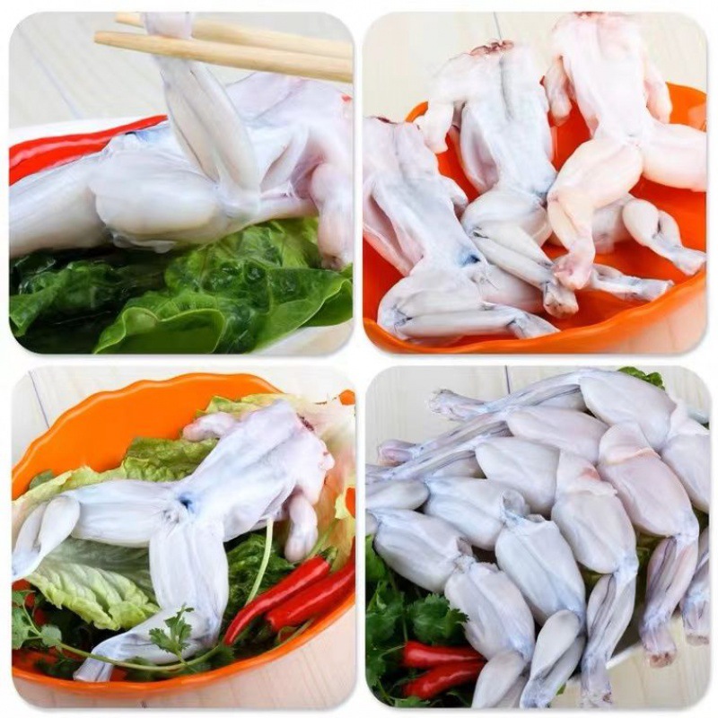 牛蛙鲜活新鲜特大田鸡蛙肉半成品牛蛙腿牛蛙肉冷冻商用牛蛙无冰衣