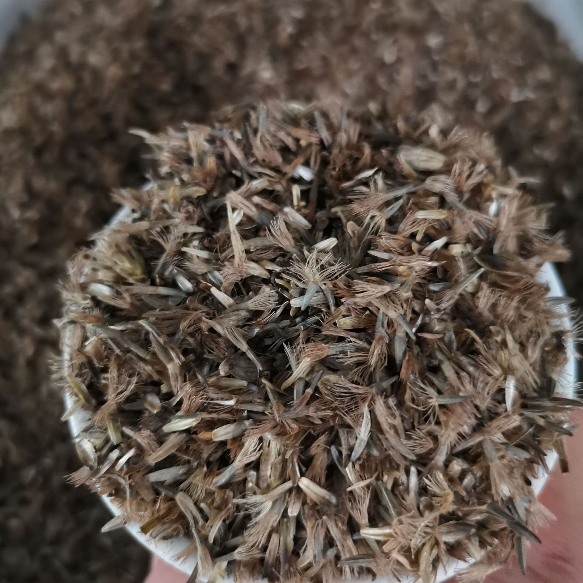 金银花种子 忍冬金银花藤 家庭阳台盆栽四季易种爬藤花卉货到付款