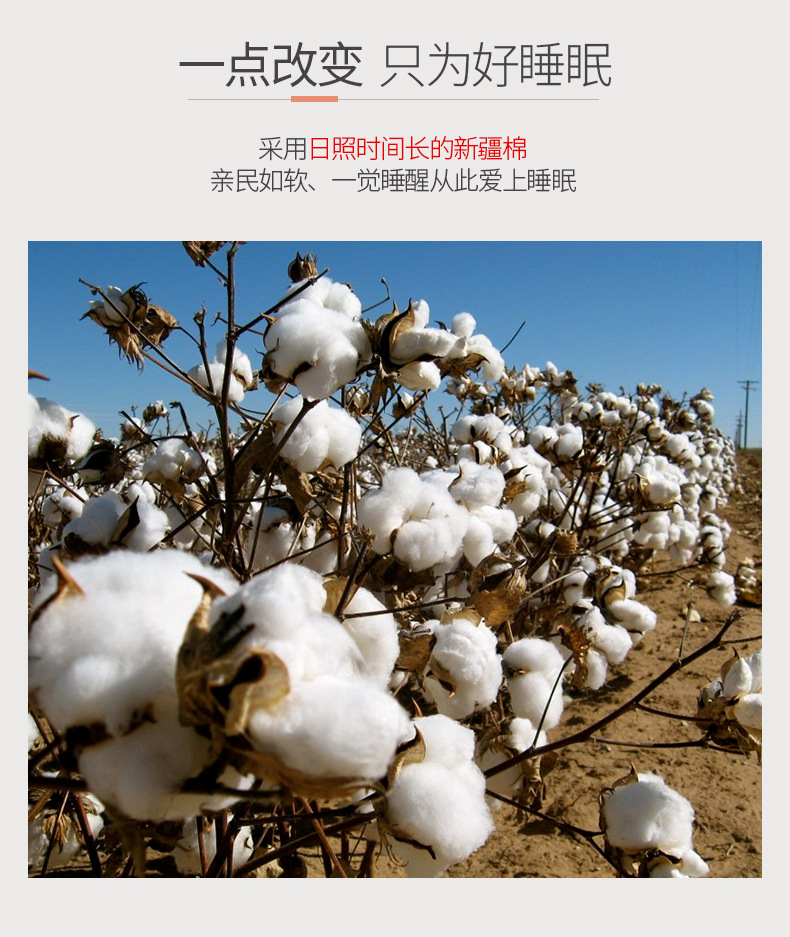 新疆棉花被秋冬全棉花加厚被芯宿舍保暖床垫被单双人四季棉被褥