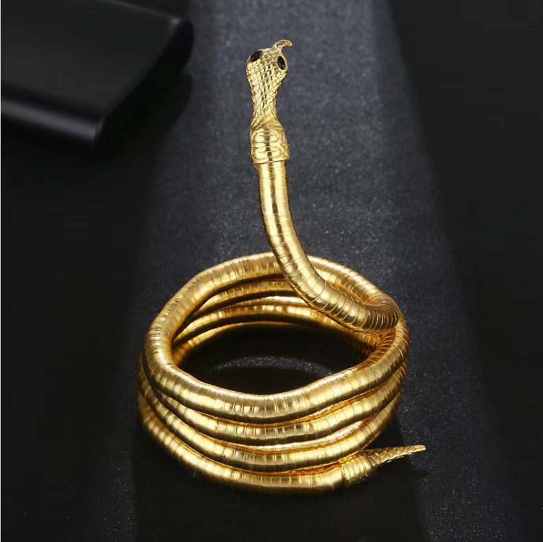 Niche Personality Winding Snake Necklace European and American Ins Cold Style Niche Design Hot Girl Dark Collar Female Male