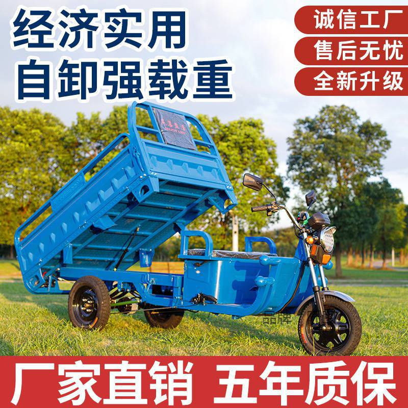 电动三轮车拉货载重王三轮电动电瓶车家用大型农用三轮车接送孩