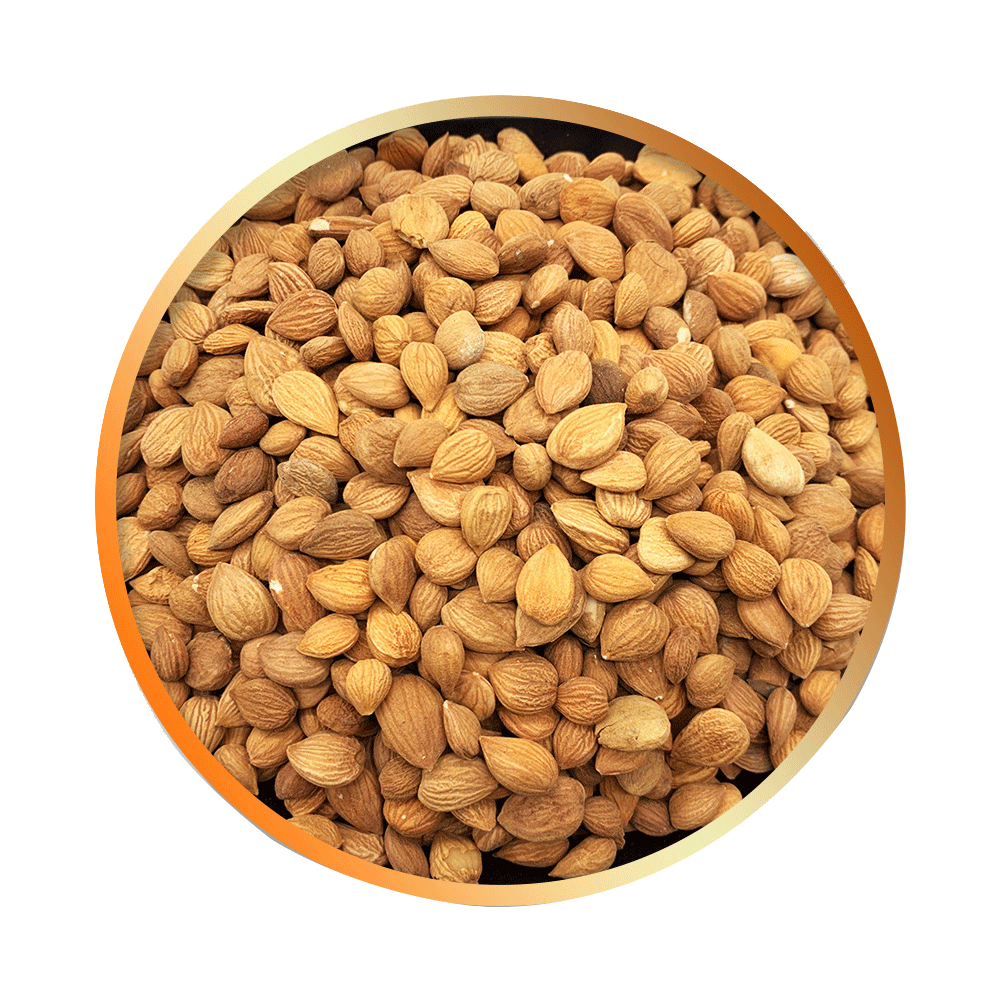 千金苇茎汤 材苇茎 薏苡仁 桃仁 冬瓜子 瓜瓣 薏米 苇茎汤-阿里巴巴