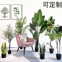 仿真绿植盆栽落地摆件盆景仿真树室内大型植物装饰仿真绿植盆栽