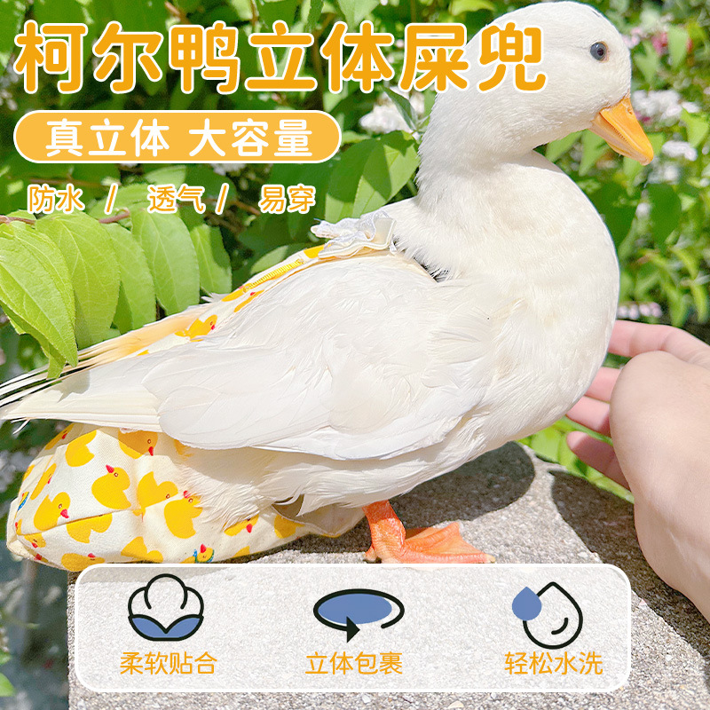 宠物柯尔鸭衣服尿布网红鸭尿不湿鸡鹅尿片柯尔鸭屎