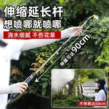 家用农用园艺工具电动锂电喷雾器浇花浇菜喷农药消毒大功率