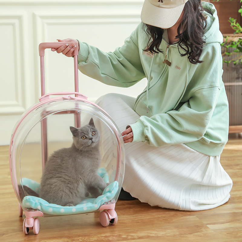 Outdoor Portable Space Capsule Pet Trolley Bag Cat Backpack Large Capacity Backpack Transparent Cat School Bag Luggage and Suitcase