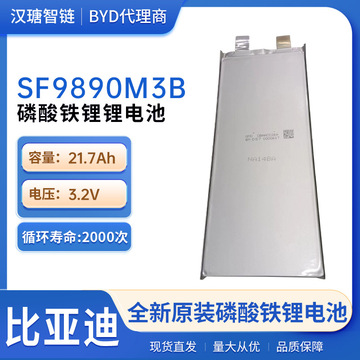 比亚迪软包磷酸铁锂电池3.2/21.