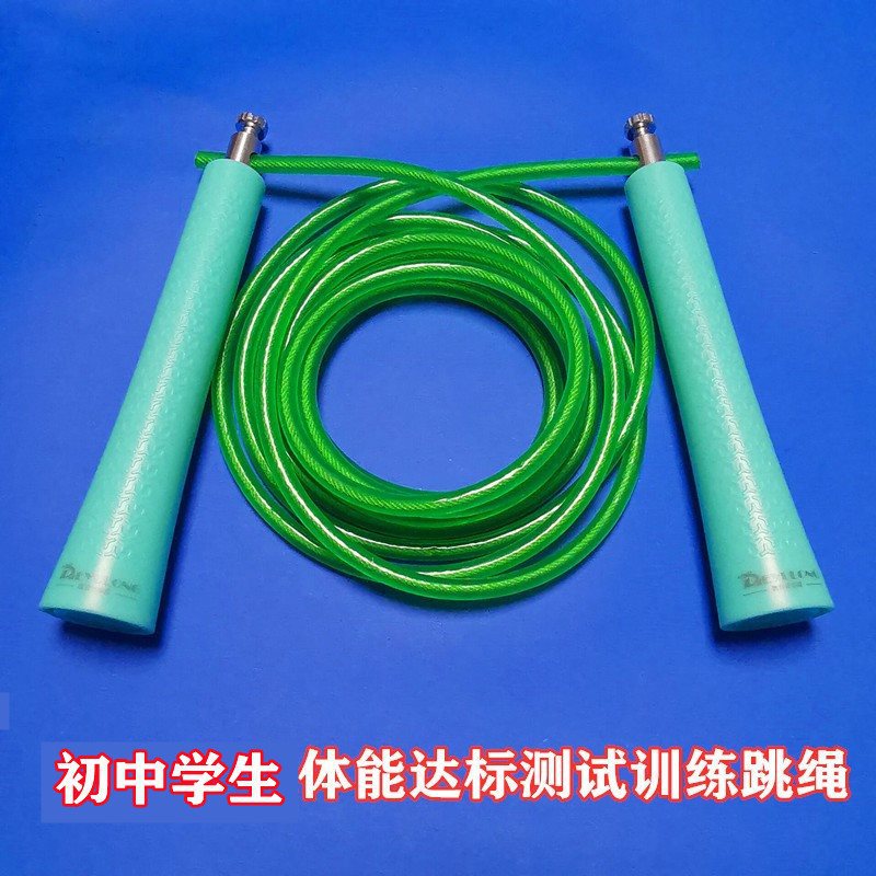 德育龙大中小学达标测试负重健身成人体育中考训练轴承钢丝跳绳