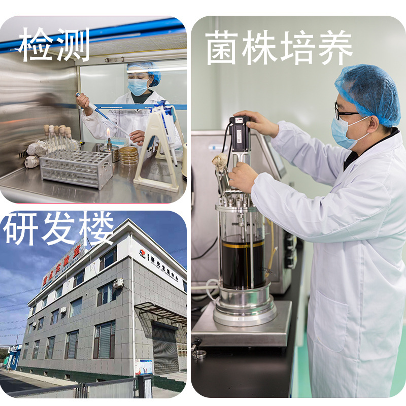 詹氏乳杆菌 益生菌源头工厂 100亿 3000亿多规格现货供应益生菌粉