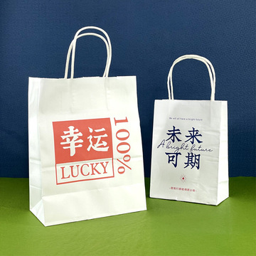未来可期白色牛皮纸手提袋杜邦纸袋打包袋生日礼物伴手礼高级感