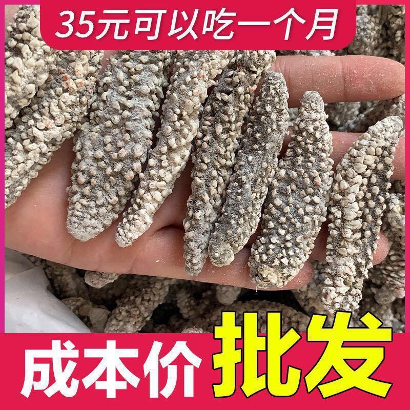 海参干货 白刺参印尼刺秃参淡干黑刺参 猪婆参海鲜味批发-阿里巴巴