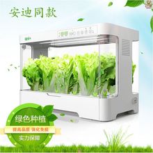 蔬菜培育箱安迪同款无土栽培箱智能家庭室内种菜水培蔬菜培育设备