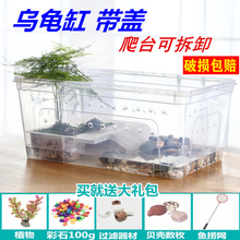 塑料小乌龟缸带晒台造景小型宠物龟缸生态缸巴西龟饲养箱带盖