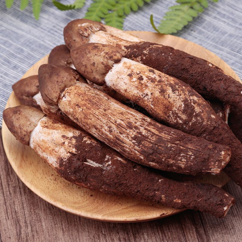 2022新鲜鸡枞菌野生火把鸡纵菌云南特产鸡肉菌伞把菇食用菌菇500