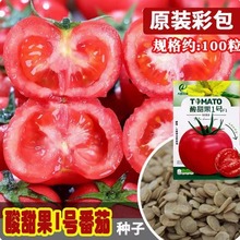 大田农丰酸甜果1号西红柿种子 农田菜园大果酸甜耐贮运 菜园盆栽