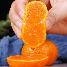 广西砂糖橘整箱应季薄皮新鲜水果当季砂糖桔橘子沃柑批发跨境电商