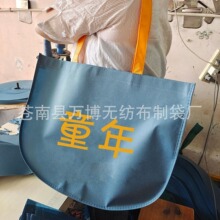 定制无纺布月亮袋半圆袋批量印刷logo服装手提袋广告宣传袋童装袋