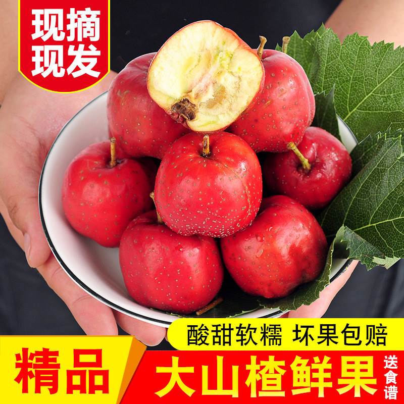 新鲜山楂大果5斤装大山楂鲜果山里红果新鲜山楂干片冰糖葫芦用 图片