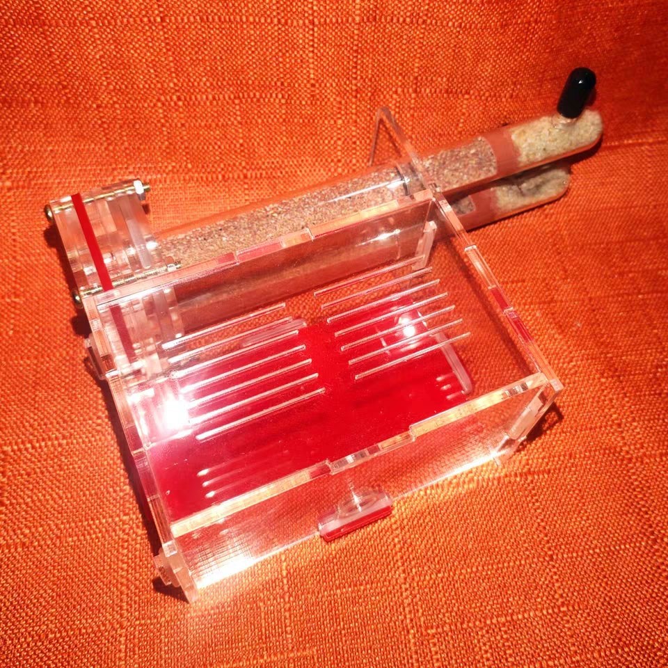蚂蚁生态箱生态蚁巢生态瓶蚂蚁饲养盒蚂蚁城堡超大型亚克力双试管