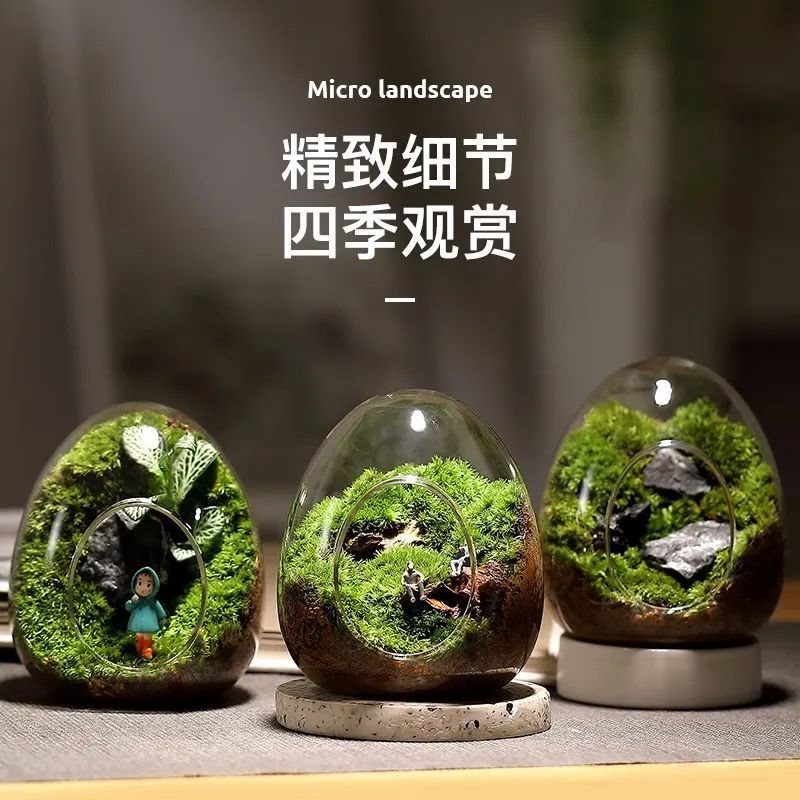 苔藓微景观生态瓶创意礼物迷你四季盆栽景办公室桌面种好养绿植