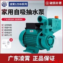 广东牌水泵1ZDB35/45/65型自吸清水泵家用自来水抽水机增压泵