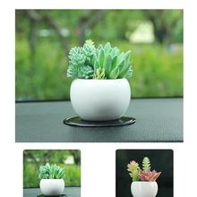 Car small bonsai aromatherapy simulation flower ornament跨境