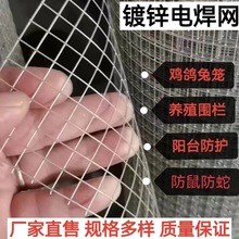 热镀锌网格网防锈铁丝网围栏养殖网家用阳台防护防鼠防蛇防猫拦鸡