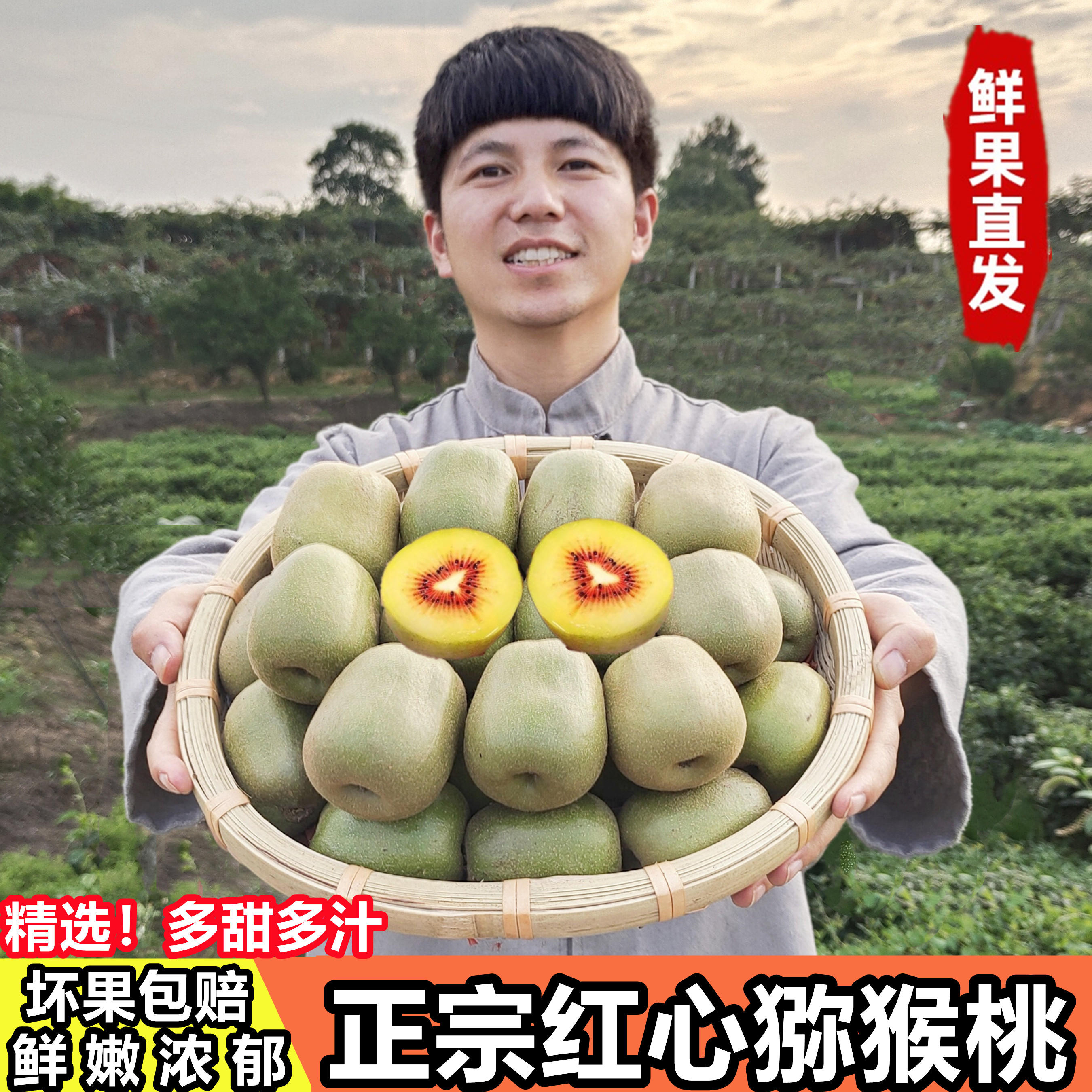 四川红心猕猴桃大果当季现摘新鲜孕妇水果奇异果都江堰蒲江礼盒