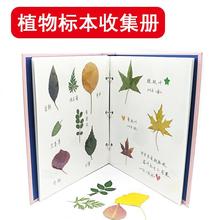 标本册覆膜粘贴式 植物标本树叶干花收集册收藏粉色小学生DIY相册