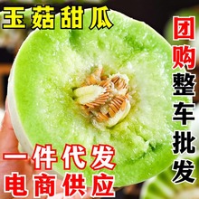 玉菇甜瓜新鲜水果 一件代发 当季正宗头茬冰淇淋蜜瓜香瓜整箱密瓜