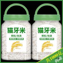 猫牙米10斤长粒香米超长粒新米广西虾田米丝苗大米官方旗舰店