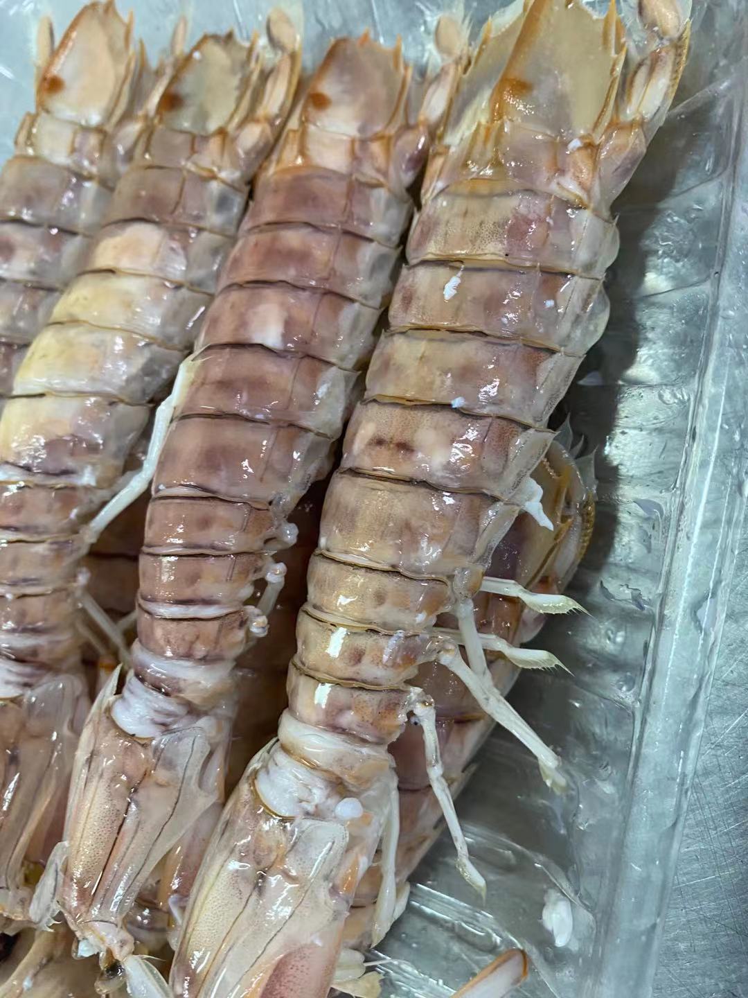 皮皮虾鲜活全母带膏冷冻超大虾爬大海虾海鲜特大号爬爬虾顺丰