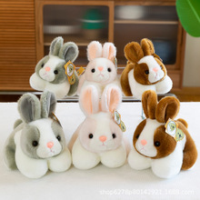 新款兔毛绒趴款兔可爱兔子萌萌兔长毛兔儿童礼物搞活动小礼品批发